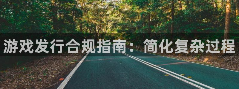 新城平台是干嘛的公司
