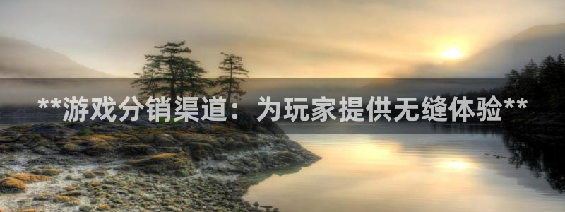 新城平台线路登录不上去怎么办呀