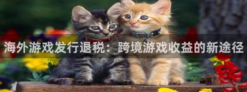 新城平台足7O777