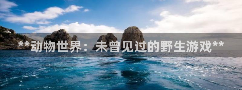 新城平台注册公司流程视频