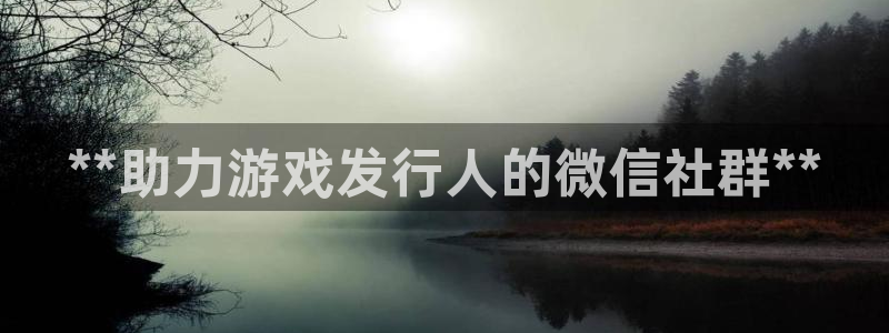 新城平台注册公司流程视频：**助力游戏发行人的微信社群**