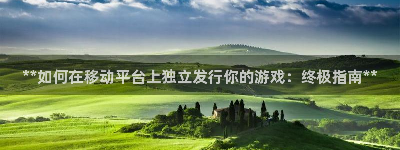 新城平台公司是国企吗：**如何在移动平台上独立发行你的游戏：终极指南**