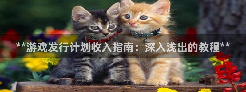 新城平台线路登录不上去：**游戏发行计划收入指南：深入浅出的教程**