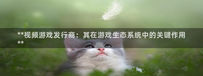 新城平台线路登录：**视频游戏发行商：其在游戏生态系统中的关键作用
**