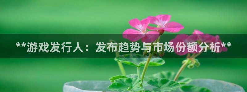 新城平台负责人是谁：**游戏发行人：发布趋势与市场份额分析**