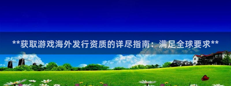 新城平台注册流程及费用：**获取游戏海外发行资质的详尽指南：满足全球要求**