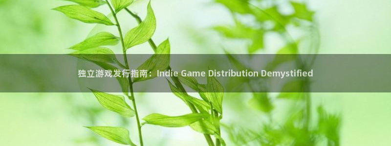 新城平台进·新城平台：独立游戏发行指南：Indie Game Distribution Demystified