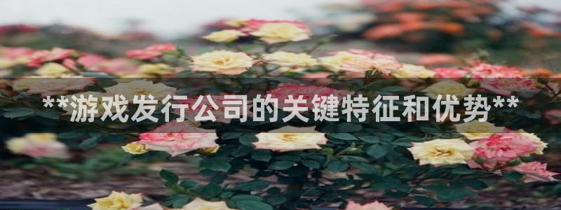 新城平台是干嘛的：**游戏发行公司的关键特征和优势**