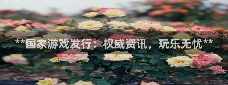 新城平台代理注册公司：**国家游戏发行：权威资讯，玩乐无忧**