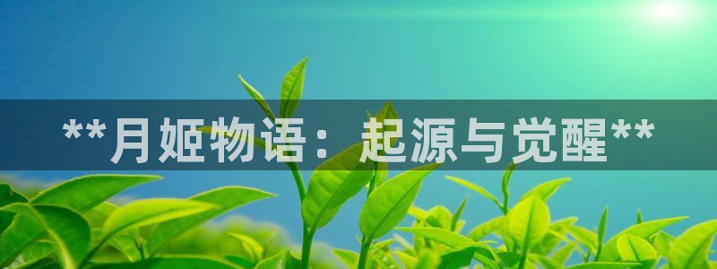 新城平台登录入口官网首页查询：**月姬物语：起源与觉醒**