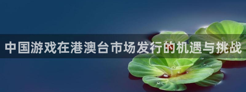 新城平台线路登录不上去：中国游戏在港澳台市场发行的机遇与挑战