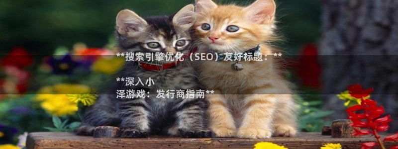 新城平台注册资金多少亿：**搜索引擎优化（SEO）友好标题：**

**深入小
泽游戏：发行商指南**