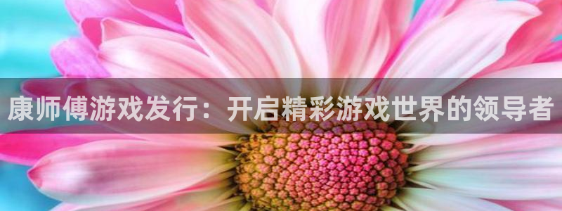 新城平台注册公司流程：康师傅游戏发行：开启精彩游戏世界的领导者