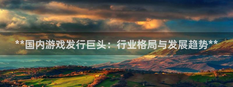 新城平台负责人