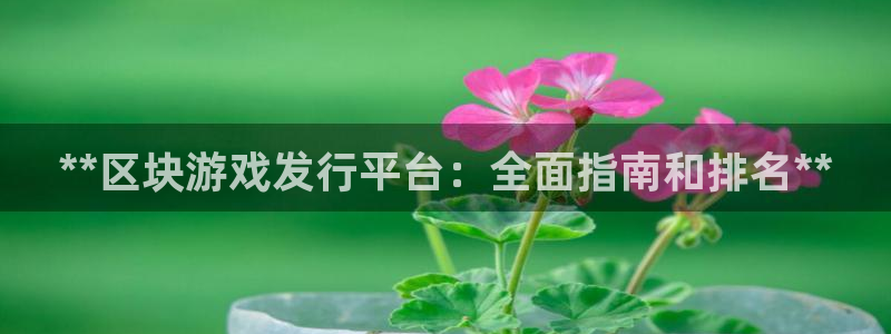 新城平台代理怎么样