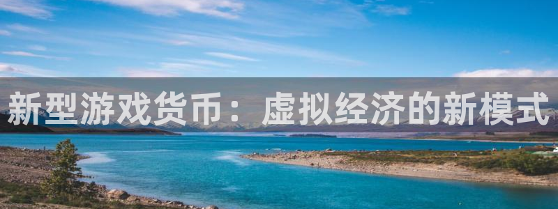 新城平台是干嘛的公司啊