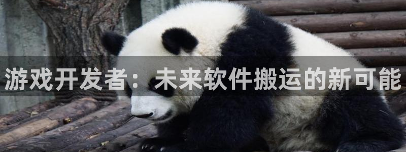 新城平台平台最新活动消息