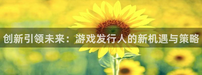 新城平台授权注册