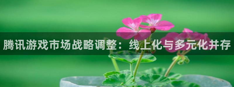 新城平台总代