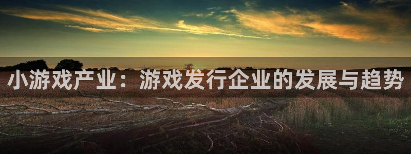 新城平台注册公司流程