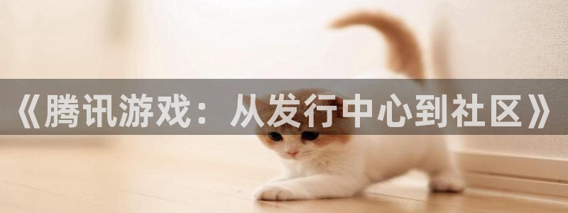 新城平台注册资金多少