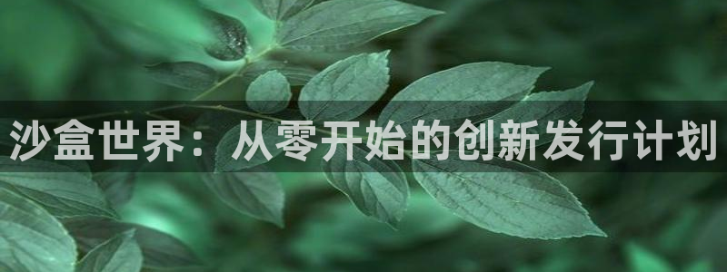 新城平台登录入口官网网址是多少