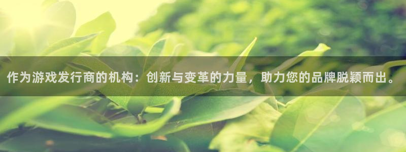 新城平台线路登录不上去怎么回事呢
