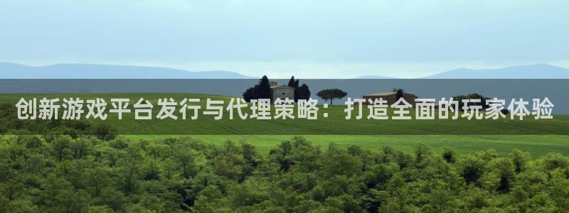 新城平台线路登录不上去怎么办呀