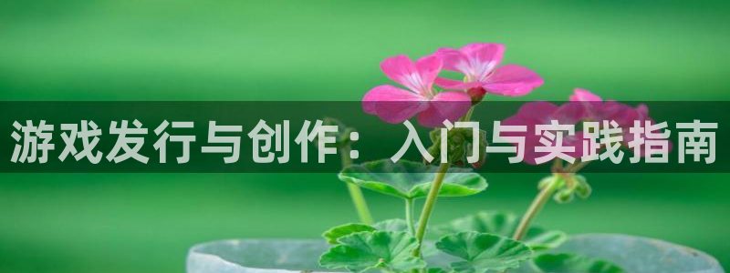 新城平台线路登录不上去了怎么回事