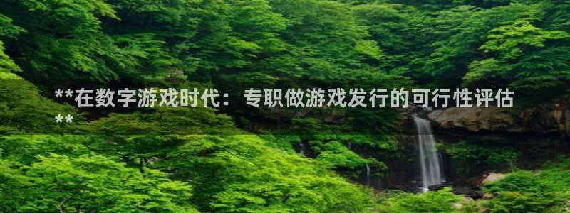 新城平台登录密码忘了：**在数字游戏时代：专职做游戏发行的可行性评估
**