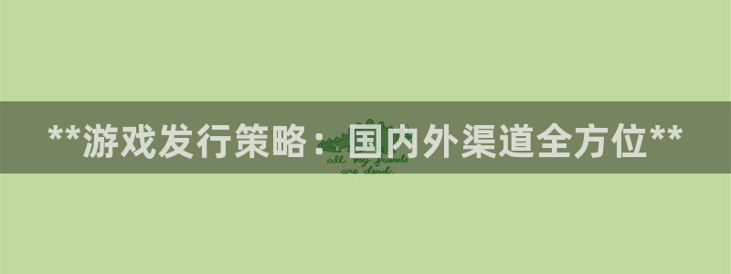 新城平台登录入口官网首页查询：**游戏发行策略：国内外渠道全方位**