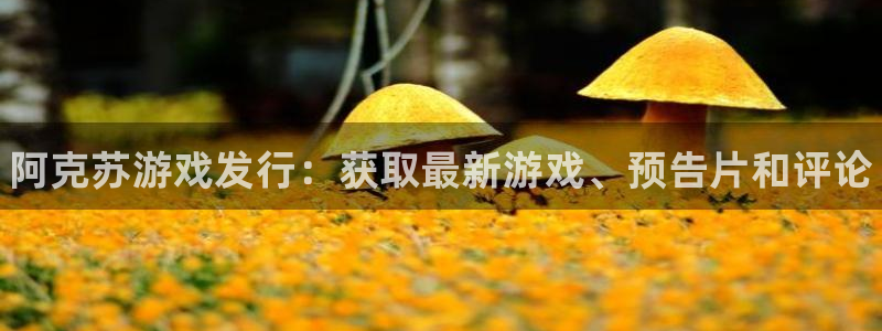 新城平台官网注册流程：阿克苏游戏发行：获取最新游戏、预告片和评论