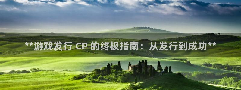 新城平台注册公司流程及费用：**游戏发行 CP 的终极指南：从发行到成功**