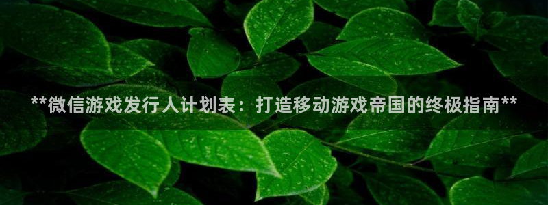 新城平台注册公司流程图：**微信游戏发行人计划表：打造移动游戏帝国的终极指南**