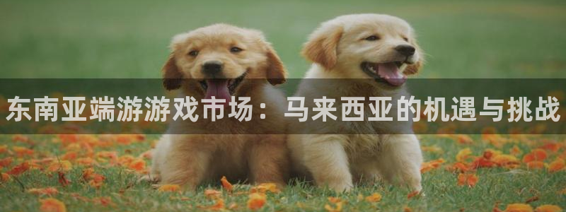 新城平台官网首页入口：东南亚端游游戏市场：马来西亚的机遇与挑战