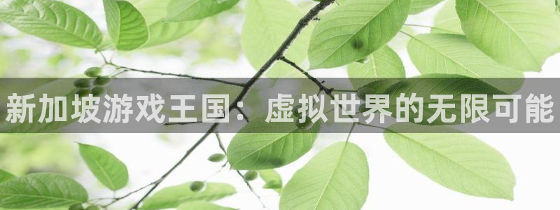 新城平台注册登录地址：新加坡游戏王国：虚拟世界的无限可能