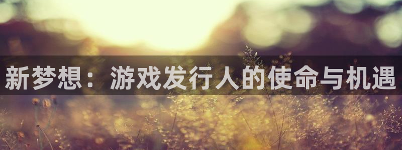 新城平台注册流程及费用：新梦想：游戏发行人的使命与机遇