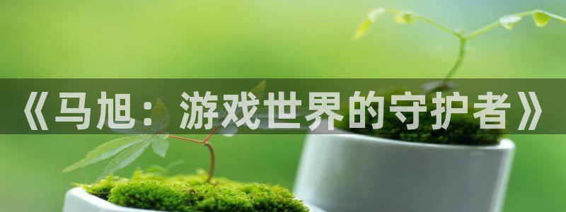 新城平台注册公司流程视频