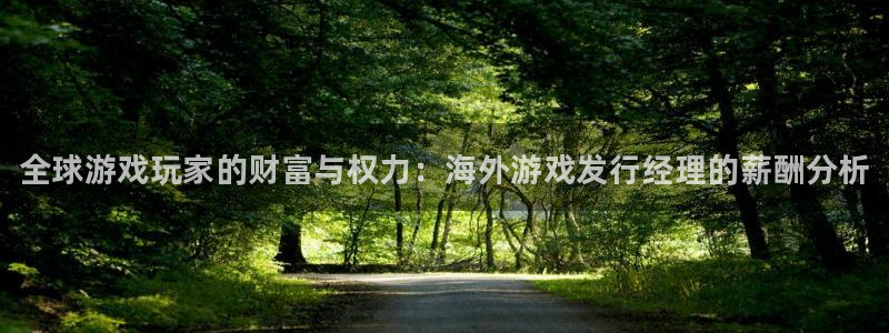 新城平台平台最新活动消息：全球游戏玩家的财富与权力：海外游戏发行经理的薪酬分析